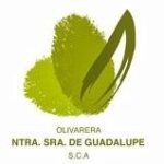 olivarera-guadalupe-logo