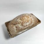 Bizcocho Glaseado Artesano Panadería Geli