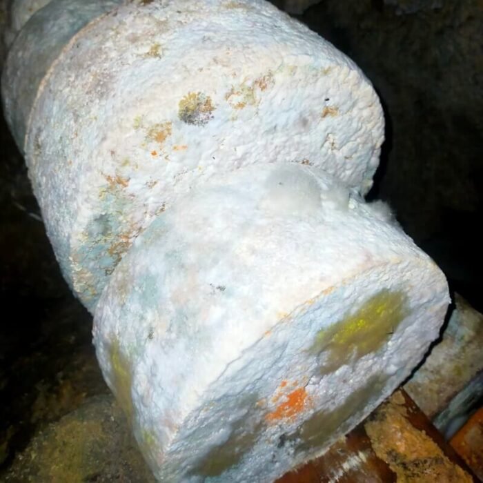 Tienda Online de Productos Asturianos 19 queso gamoneu del puerto queseria uberdon cueva